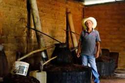 Wat is het verschil tussen artesanal en ancestral mezcal?