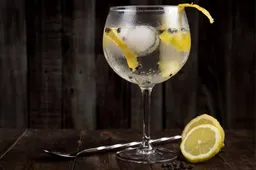 Gin & Tonic werd eerst uitsluitend gebruikt als medisch middel tegen malaria