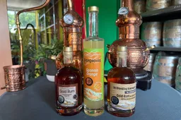 Nederlandse jonge rummaker blaast iedereen weg en pakt dikke prijzen