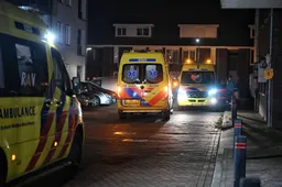 1b74cc8f-ef3a-4375-b3c4-fabdc7d1b5b8