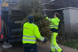 kerstbomen_bij