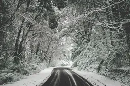 pexels-postiglioni-1537982