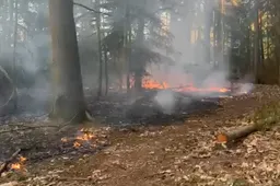 Schermafbeelding 2026-04-24 205254