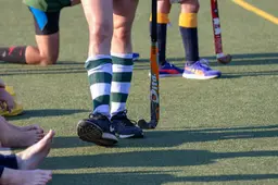squirrel_photos-hockey-3335419