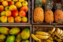 fruit eten gezond