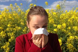 allergie hooikoorts