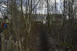 Met een worm in de hand naar de juf: ook zonder bomen kan een schoolplein groen zijn