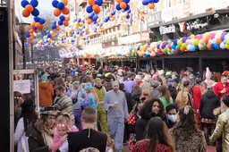 Beveiliging tijdens carnaval: niet in een bananenpak aan de deur want voor uniform gelden strenge regels