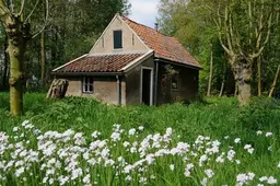 Gidsen nemen je mee door eeuwenoude eendenkooi in Midden-Delfland