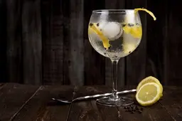 Proost! 4 x gin proeven in Schiedam