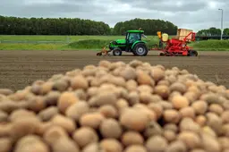Recordomzet van half miljard voor aardappelbedrijf HZPC uit Joure. Uitdagingen tekenen zich af voor komend boekjaar