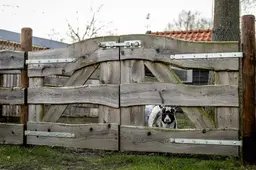 Cliënten van zorgorganisatie Trajectum in Boschoord leven met moestuin en trapveldje. Maar hoelang nog?