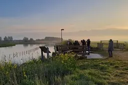 Op Vaderdag vroeg uit de veren voor een gratis excursie langs zangvogels in het Kraaiennest