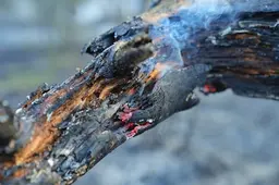 Bosbrand in Heeze: politie zoekt verdachte die in de buurt van brandhaard is gezien