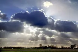 Lezer Bart heeft oplossing voor uitbreiden industrieterrein Budel: koop het vliegveld