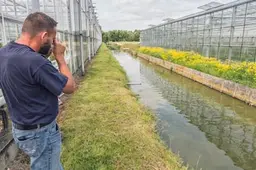 Toxische lozingen in Pijnacker en De Lier leiden tot actie van Hoogheemraadschap