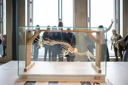 Het Waddengebied als levend laboratorium, hoeveel veldonderzoek kan het werelderfgoed aan? | LC commentaar