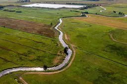 Stikstofopgave voor landbouw afgezwakt, maar nog weinig perspectief. „Hjir leit in resept foar ûngemakken.”