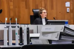 Rotterdamse tandenborstelmaker verslaat het machtige Philips: rechter vindt Boombrush geen kopie