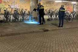 Afgekickte Eindhovenaar gaat toch weer gebruiken en moet de cel in na steekpartij