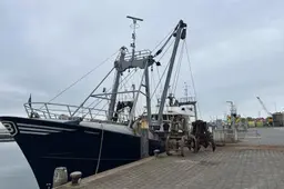 Intensief gebruik toegangsweg en kade breekt Terschelling op: maximumsnelheid bij boot gaat omlaag
