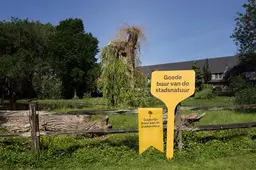 Rotterdamse ‘veteranenboom’ krijgt lintje: ‘Hartstikke leuk dat ze in de aandacht staan’