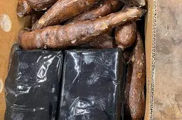 Lading cocaïne met waarde van ruim 5 miljoen euro onderschept in Rotterdamse haven