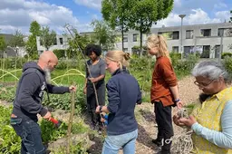 Will (63) leeft op dankzij groene buurtmoestuin in Lombardijen, maar ziet vooral de buurt weer opbloeien
