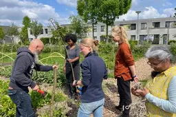 Buurtmoestuin inspireert Rotterdam-Zuid: ‘Kinderen worden er vrijer van’