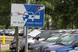 Je huisdier met deze temperaturen achterlaten in auto? Dat is levensgevaarlijk