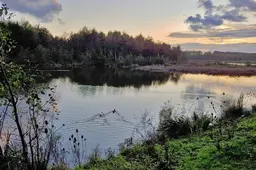 Weektips! Dit wil je doen in Vlaardingen deze week (26-30 mei)