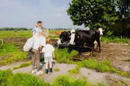 Bij deze boerderijen nabij Vlaardingen kun je binnenkort een kijkje achter de schermen nemen