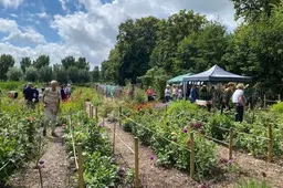 Groen, vers en lokaal: Open Akker Vlaardingen is er weer!