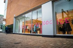 Activisten bekladden Zara-winkel en richten ravage aan bij hoofdkantoor Maersk: vier aanhoudingen