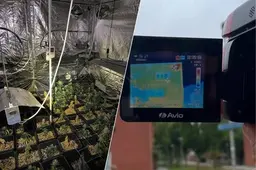 Verborgen hennepkwekerij opgerold dankzij warmtecamera, 235 planten ontdekt