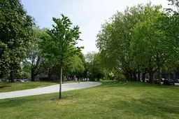 Schiedam Bloeit: muziek, workshops en mocktails in de Plantage