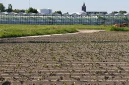 Miljoenenverlies voor Waadhoeke door mislukt tuinbouwproject Waddenglas bij Sexbierum