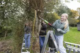 In de stromende regen knot Willemijn (14) in Hurdegaryp een wilgenpoortje: 'Knip alles er maar af'