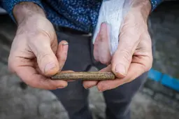 Met het ‘stokje van Lemmer’ kun je spelen of vis vangen