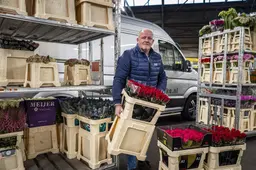 Bloemist Sijmen Dijkstra (56) uit Leeuwarden over sluiting bloemenveiling Eelde: ‘Dat het zó snel zou gaan, had ik niet gedacht’