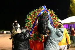 Superieure Italiaanse merrie Diva EK wint Prijs der Giganten