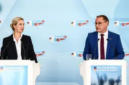 Patriottisme is de AfD vreemd | opinie