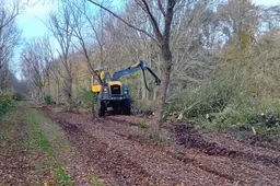 Dassen verstoord bij houtoogst Harichster Bosk. Strafrechtelijk onderzoek naar handelen Staatsbosbeheer
