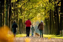 Temperatuur begin van de week ver boven gemiddelde voor november