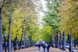 Opvallend zacht en wisselvallig herfstweer: natte ochtend, later zon en wind