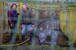 Piaam krijgt een bezoekerscentrum voor historie van eendenkooien. ‘Is er nog niet in het Noorden’