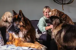 Femmy (39) mag honden voorlopig in huis in Heerenveen blijven opvangen: ‘Niet onlogisch’