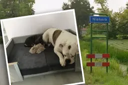 Gezinshuis waar kinderen voor straf worden gebeten door honden staat in Westerkwartier; er zijn vaker kinderen weggehaald