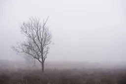 Eerste vorst van najaar gemeten in Eelde. Wisselvallige week met natte sneeuw op komst