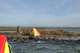 Gestrande man op eiland in IJsselmeer werd in Workum volop herkend: ‘Hij is met de noorderzon vertrokken’